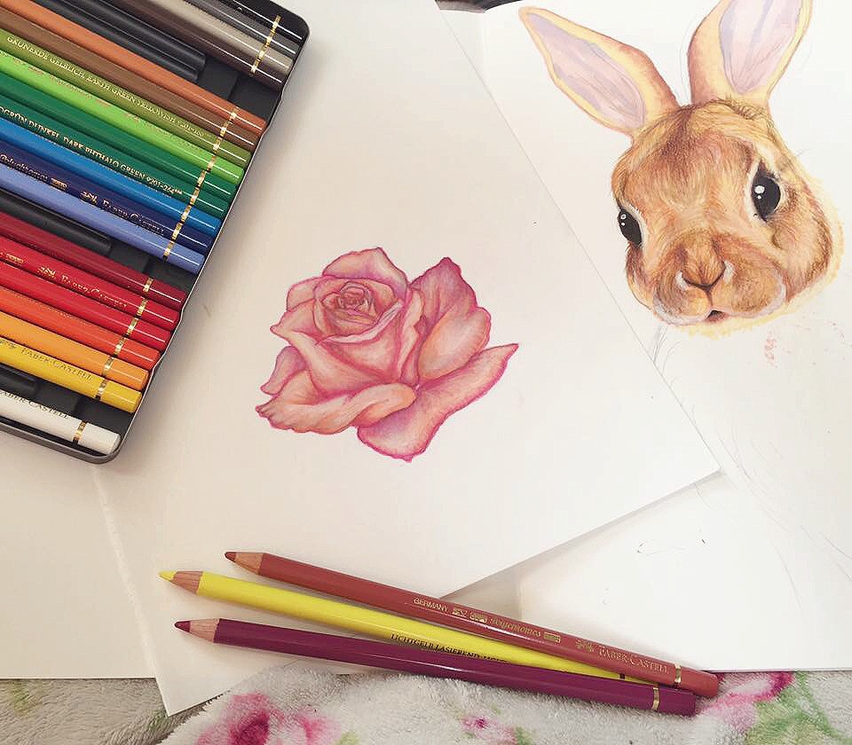 Colour pencil drawings