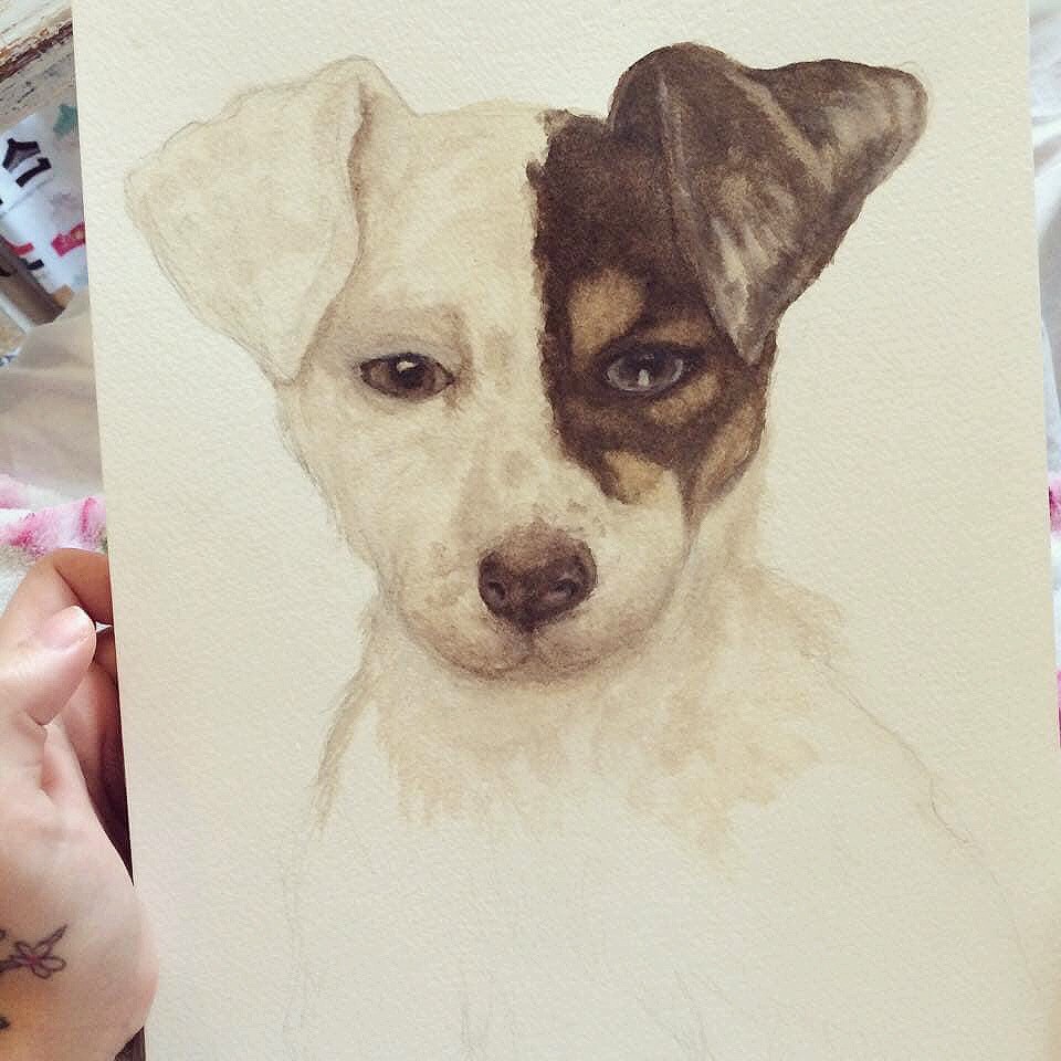 One of my commissioned pet portraits